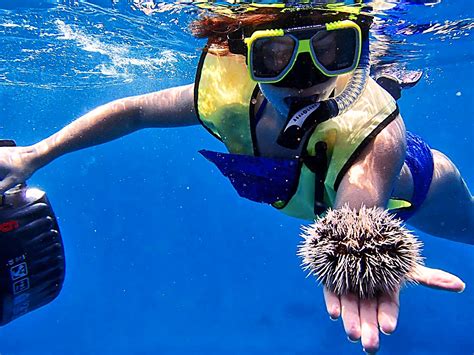 10 Top Snorkelling Attractions The Star