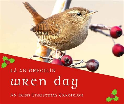 Wren Day An Irish Tradition On Saint Stephens Day