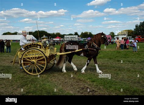Chertsey Agricultural Show Hi Res Stock Photography And Images Alamy