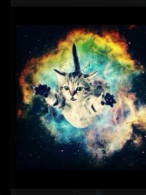Check spelling or type a new query. 186 best images about Cats in space!!!! on Pinterest ...
