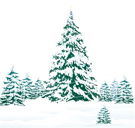 Christmas Tree Pine Snow Snowy Winter Ground With Trees Png Clipart