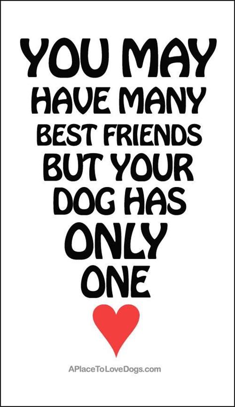Best Friend Dog Quotes Quotesgram