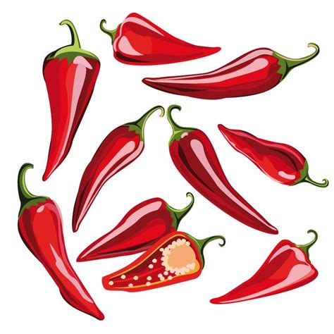 Chili Graphic AI Vector | Vector, Graphic, Vector illustration