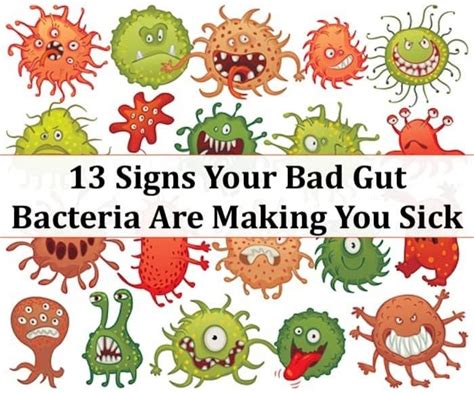 13 Signs Your Bad Gut Bacteria Are Making You Sick Part 1 Garma On Health