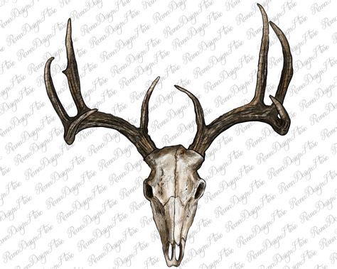 Deer Skull Png Sublimation Design Deer Png Deer Skull Png Etsy Australia