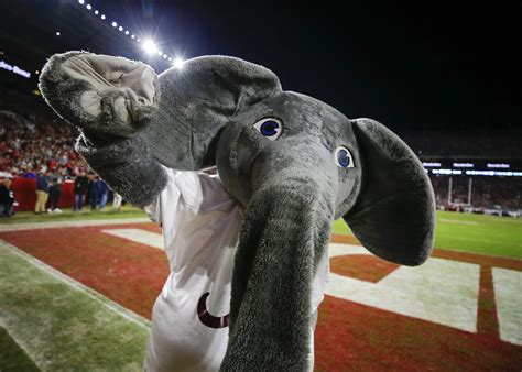 30 Best College Football Mascots Of All Time Page 11