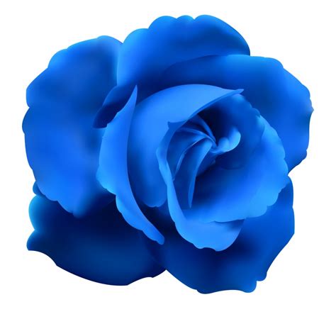 See if you can find a background for your next project. Blue Flower Transparent Background & Free Blue Flower ...