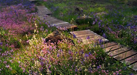 Maybe you would like to learn more about one of these? Camassia Natural Area | The Nature Conservancy in Oregon