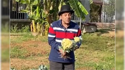 Dharmendra Enjoys Organic Farming Shares Glimpse On Social Media