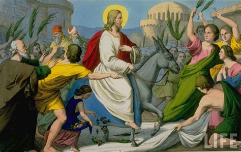 Why Jesus Chose An Ass To Ride Into Jerusalem