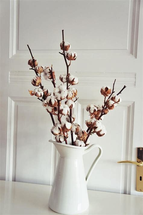 dried cotton stems cotton branches cotton ball stalks l etsy cotton branches natural