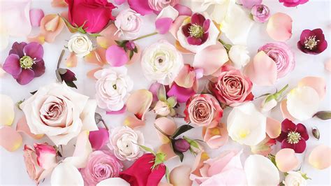 Fresh Flowers On A Background February Love Month