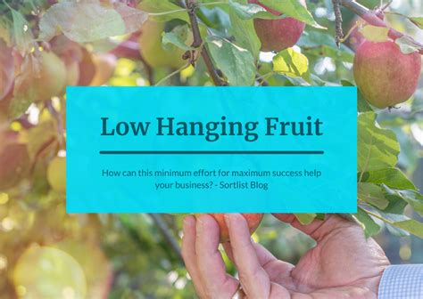 Low Hanging Fruit Minimum Effort Maximum Success For Your Business