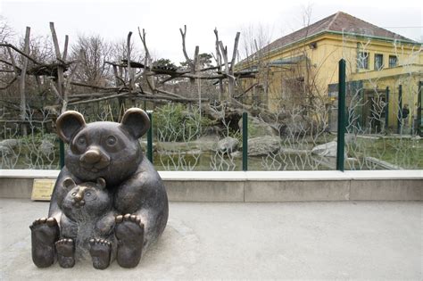 Großer Panda Tiergarten Schönbrunn Freizeitpark Weltde