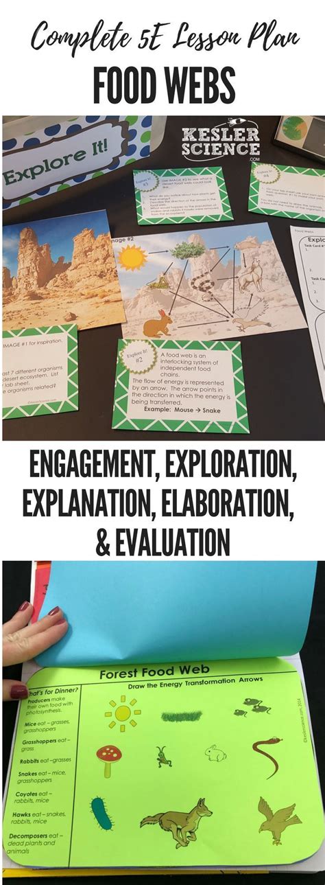 Food Webs 5E Lesson Plan ready to print and teach the entire ecosystems