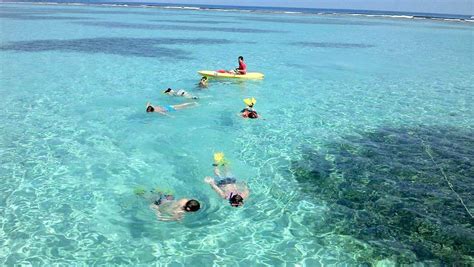 Roatan Shipwreck Snorkel Tour