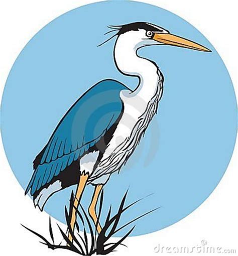 Download Green Heron Clipart For Free Designlooter 2020 👨‍🎨