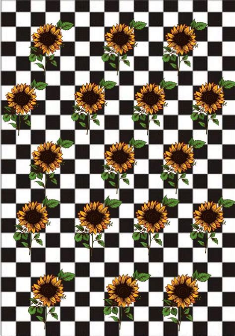 50 Yellow Aesthetic Sunflowers Hd Wallpapers Desktop