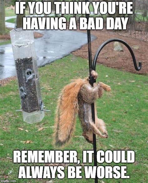 When Your Having A Bad Day Meme