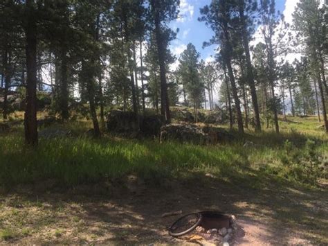 Whether you're booking for you and the kids or a class reunion, our specialty cabins have all the accommodations and amenities you need. Custer Mountain Cabins and Campground - UPDATED 2017 ...