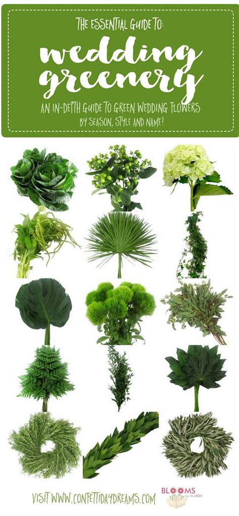 Maybe you would like to learn more about one of these? Guide to Greenery for Weddings + Green Wedding Flower ...