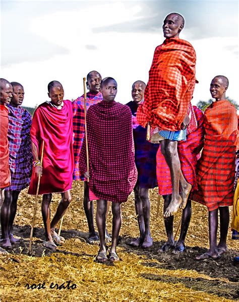 Maasai Warrior Ceremony Maasai People African Safari Maasai