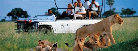 Zimbabwe Safaris And Holidays Safari Guide In Zimbabwe