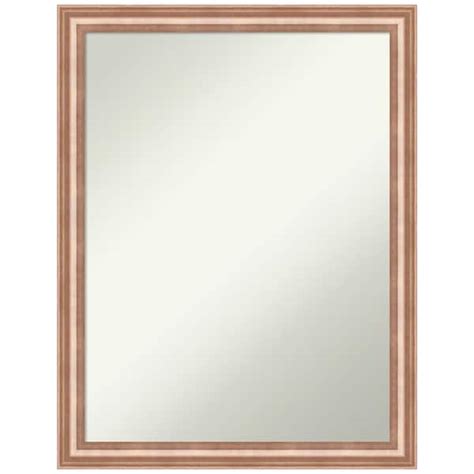 Amanti Art Harmony Rose Gold 205 In H X 265 In W Wood Framed Non