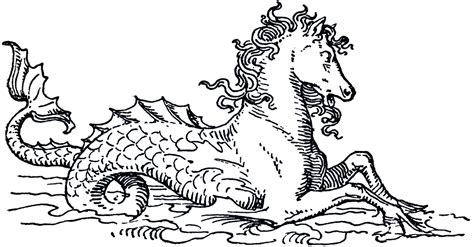 Sea creature templates printable crafts colouring pages cartoon. Mythical Sea Horse Image - The Graphics Fairy