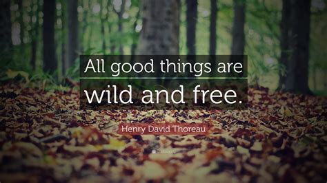 We have worked with more than 500 businesses from all over the world, occupying 60 different niches. Henry David Thoreau Quote: "All good things are wild and free." (22 wallpapers) - Quotefancy