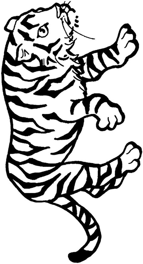 Coloring Pages Tigers Preschool