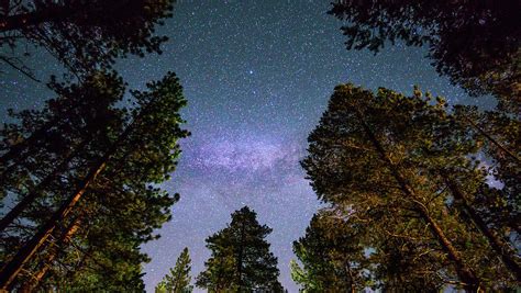 Milky Way Over A Forest Photograph By Asif Islam Fine Art America