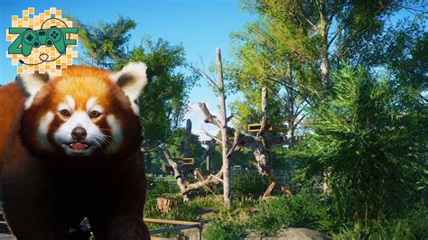 Red Panda Habitat Planet Zoo Speed Build Eastwood Zoo Ep5 Youtube
