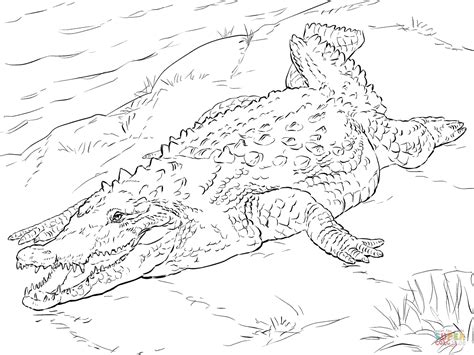 Schleich gmbh is responsible for. Crocodile Coloring Pages - GetColoringPages.com