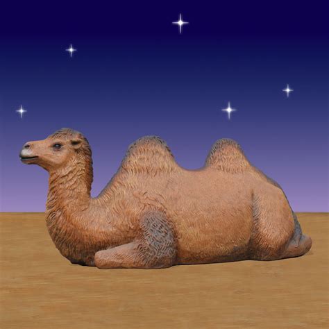 There are two types of camels in the world: Resting Camel - 45 Inches Tall - ChristmasNightInc.com