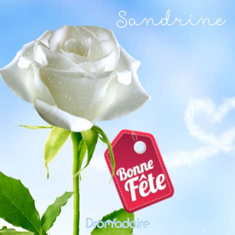 Que ce soit pour un anniversaire, une fête, pâques ou toute autre occasion, la carte animée vous permet d'exprimer vos sentiments avec une petite vidéo. Épinglé sur Prénoms, bonne fête