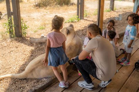 Paradise Wildlife Park Plan Your Perfect Day Out