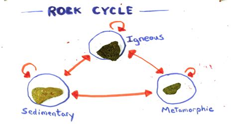 The rock cycle is driven by two forces: The Rock Cycle - Untamed Science