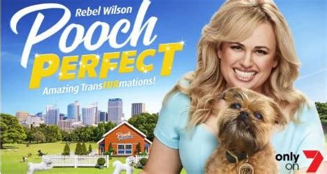Pooch Perfect Meet The Dogs New Idea Magazine