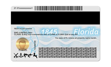 Florida Driving License Template Psd File