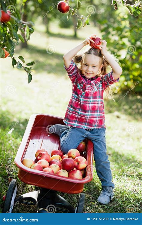 Girl With Apple In The Apple Orchard Stock Image Image Of Hand Food