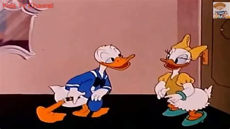 Donald Duck Cartoon Cured Duck And Home Defense Hd Compilation 2020