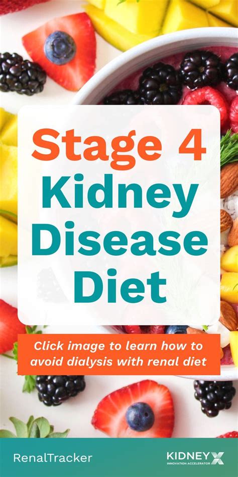 Managing Stage 4 Chronic Kidney Disease Renaltracker Blog In 2022