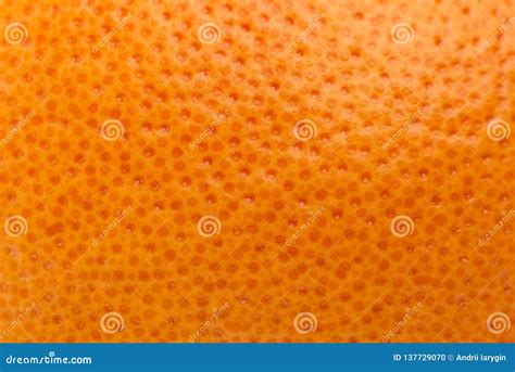 Orange Skin Texture Stock Photo Image Of Care Grapefruit 137729070