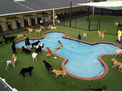 Pet lovers delighting pet lovers. In America it is a Dog's Life. Pet Paradise Opens Luxury ...
