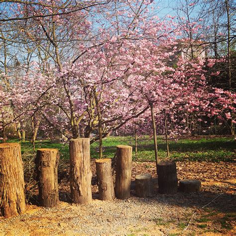 Le case sull'albero de la quiete. Casa sull'albero Toulipier - Il Giardino dei semplici ...
