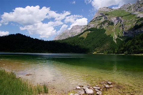 The Sutjeska National Park is a national park located in Bosnia and