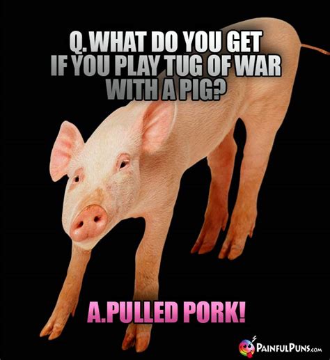 Pig Humor Pork Puns Hilarious Hogs 3