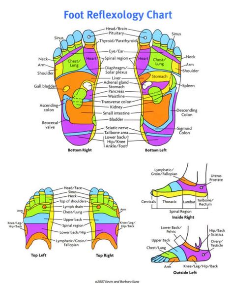 Free Printable Foot Reflexology Chart Left And Right Female Baby Real