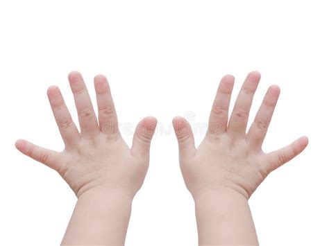 Baby Hands Over White Stock Photo Image Of Young Palm 62130688